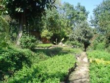 OPOTUNIDAD RANCHO CORTES