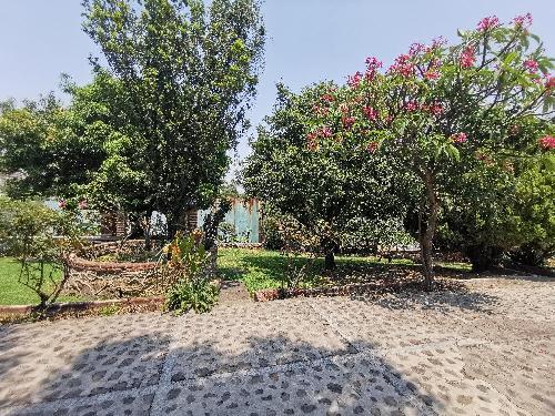 Terreno para desarrolladores