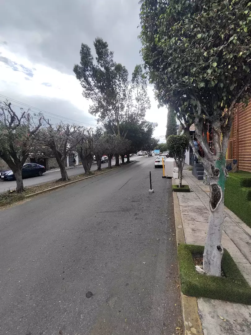 Local comercial en Renta