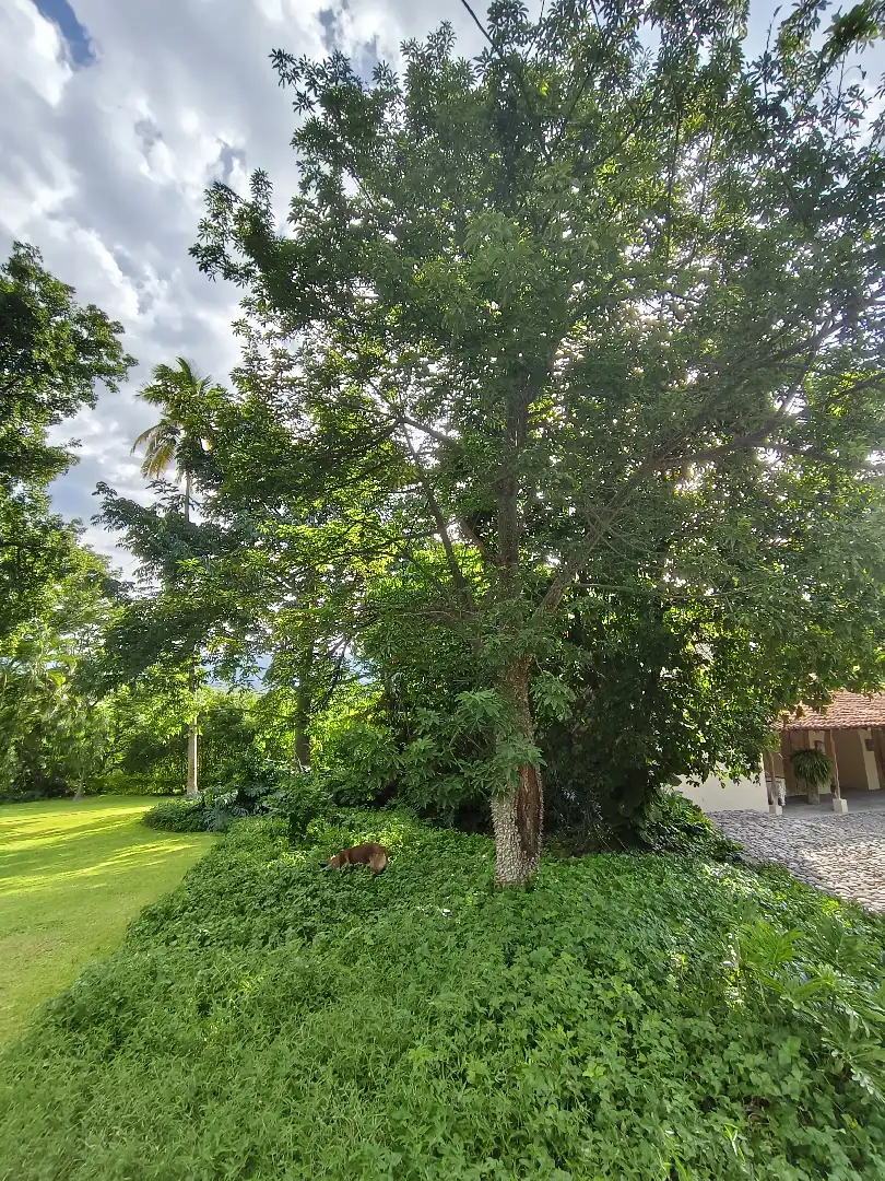 Increíble Residencia en Venta