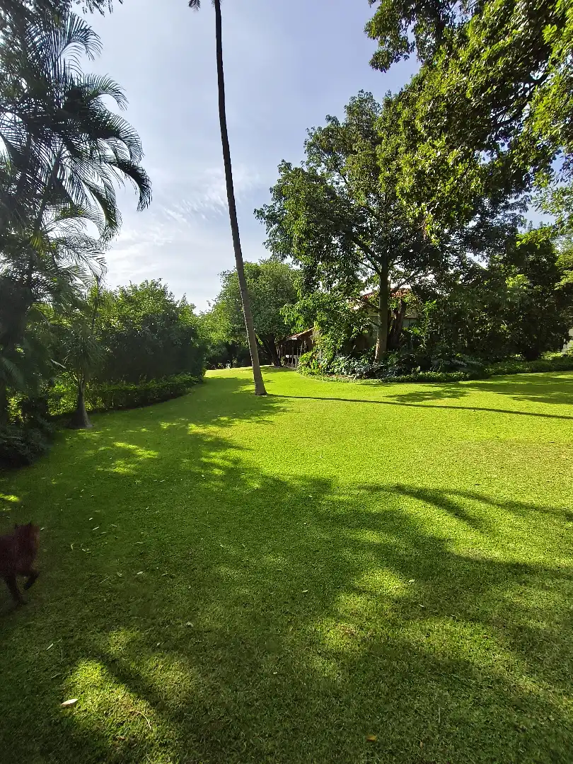 Increíble Residencia en Venta