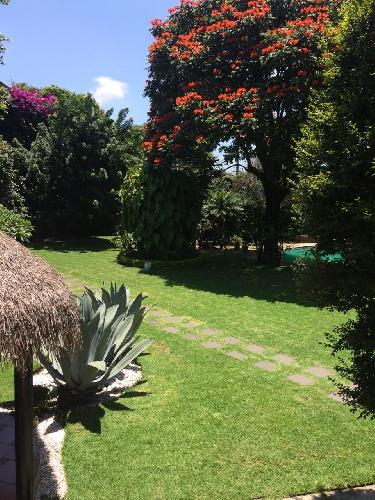 PROPIEDAD COMERCIAL EN RENTA