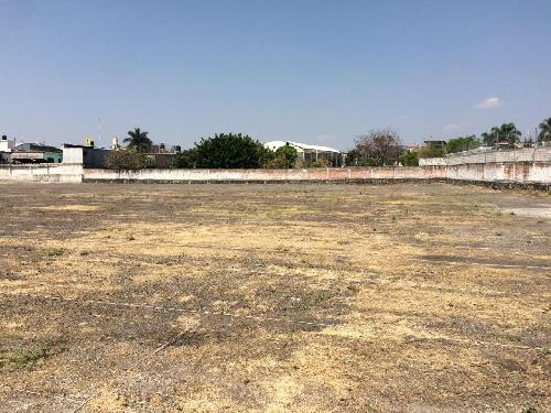 TERRENO EN RENTA