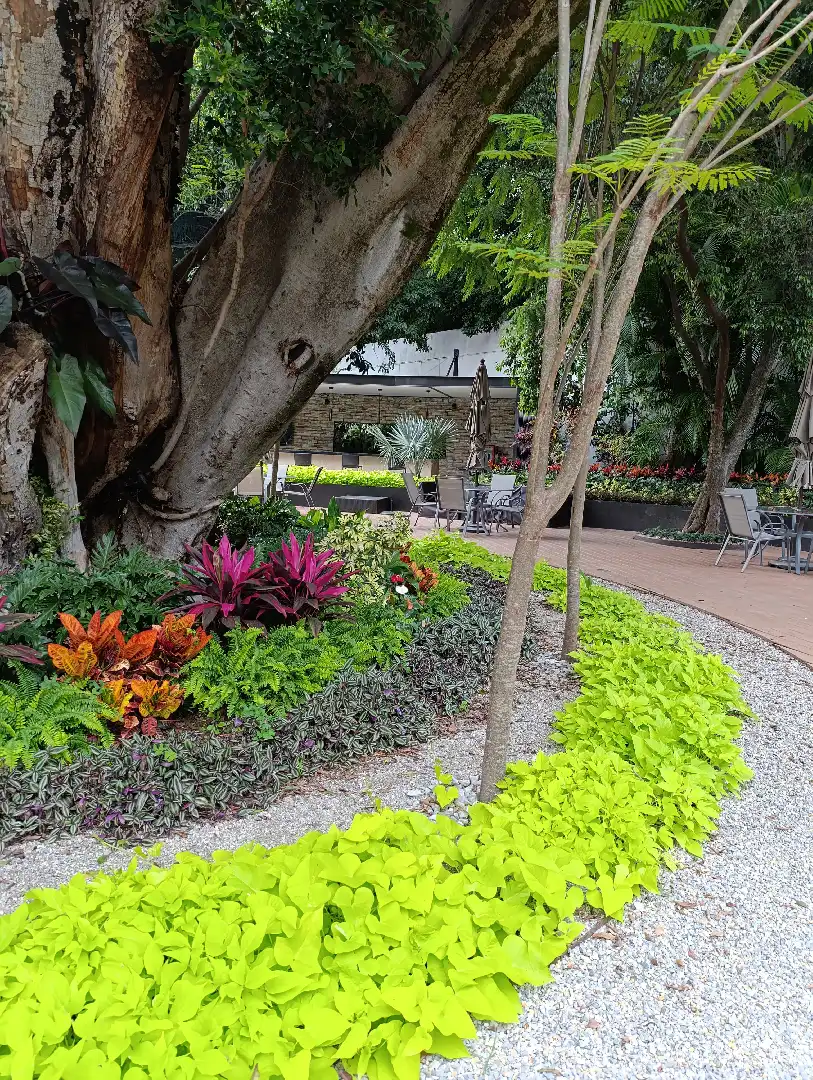 Preventa de departamentos en Pent House en desarrollo con amenidades en Cuernavaca