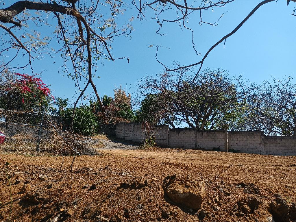Terreno en Fraccionamiento Laureles