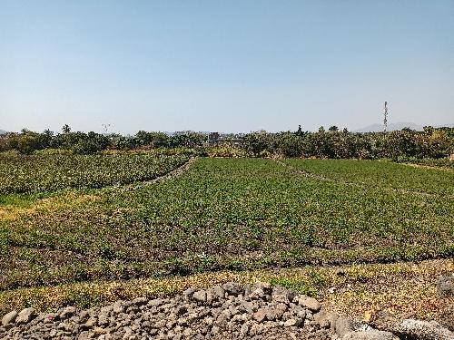 Hermoso terreno en Temixco. Ideal para invertir