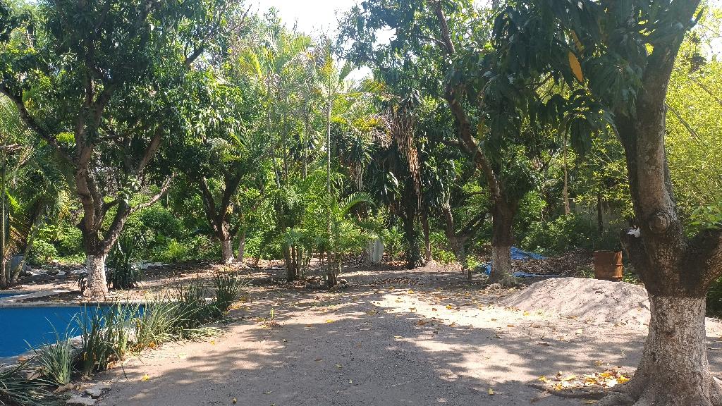 Terreno comercial en Tequesquitengo