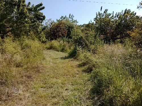 Terreno para invertir ubicado entre Tepoztlán y Amatlán