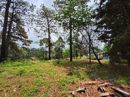 Terreno en zona boscosa. Un paraiso en Cuernavaca