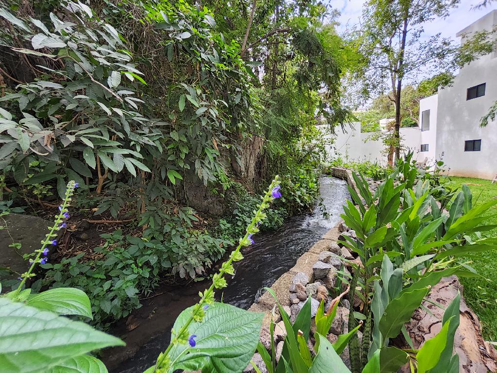Residencia con hermoso jardín (micro clima)