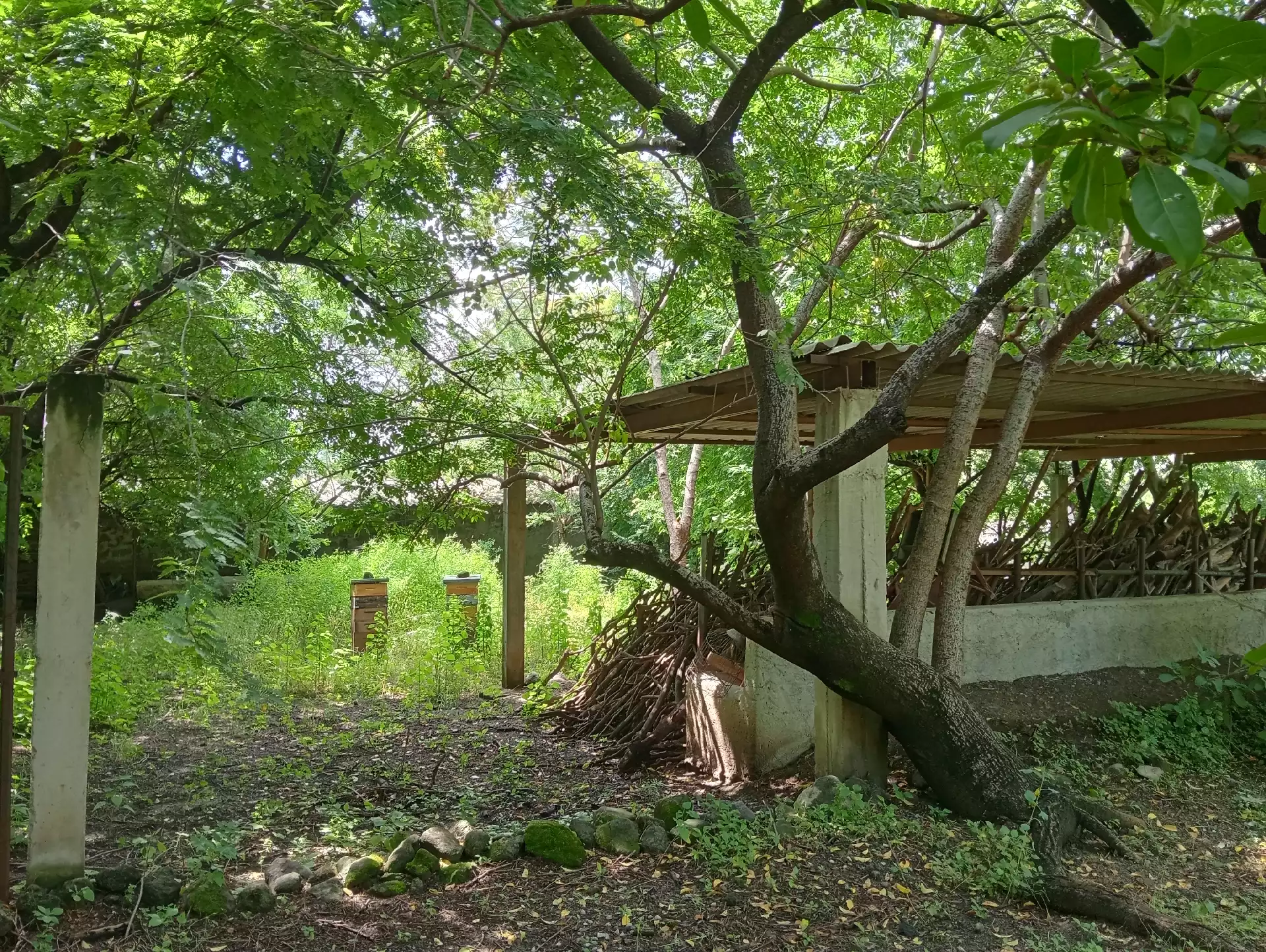 Casa de campo con extenso terreno en Xochitepec w