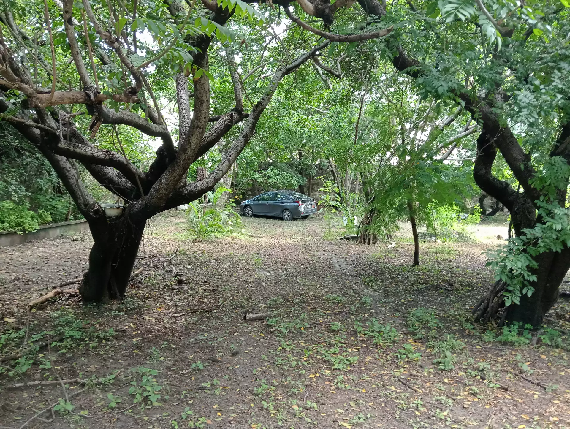 Casa de campo con extenso terreno en Xochitepec w