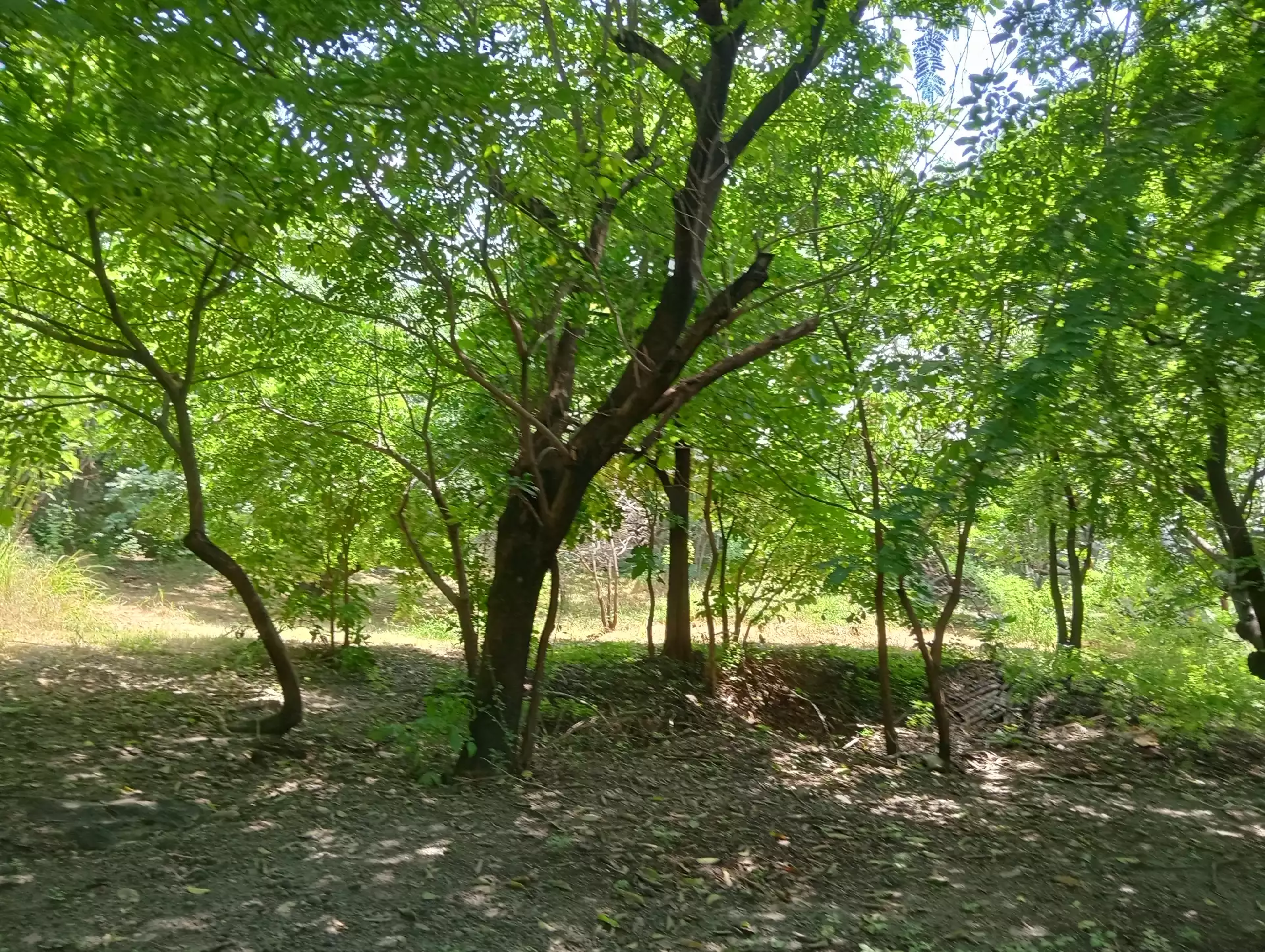 Casa de campo con extenso terreno en Xochitepec w