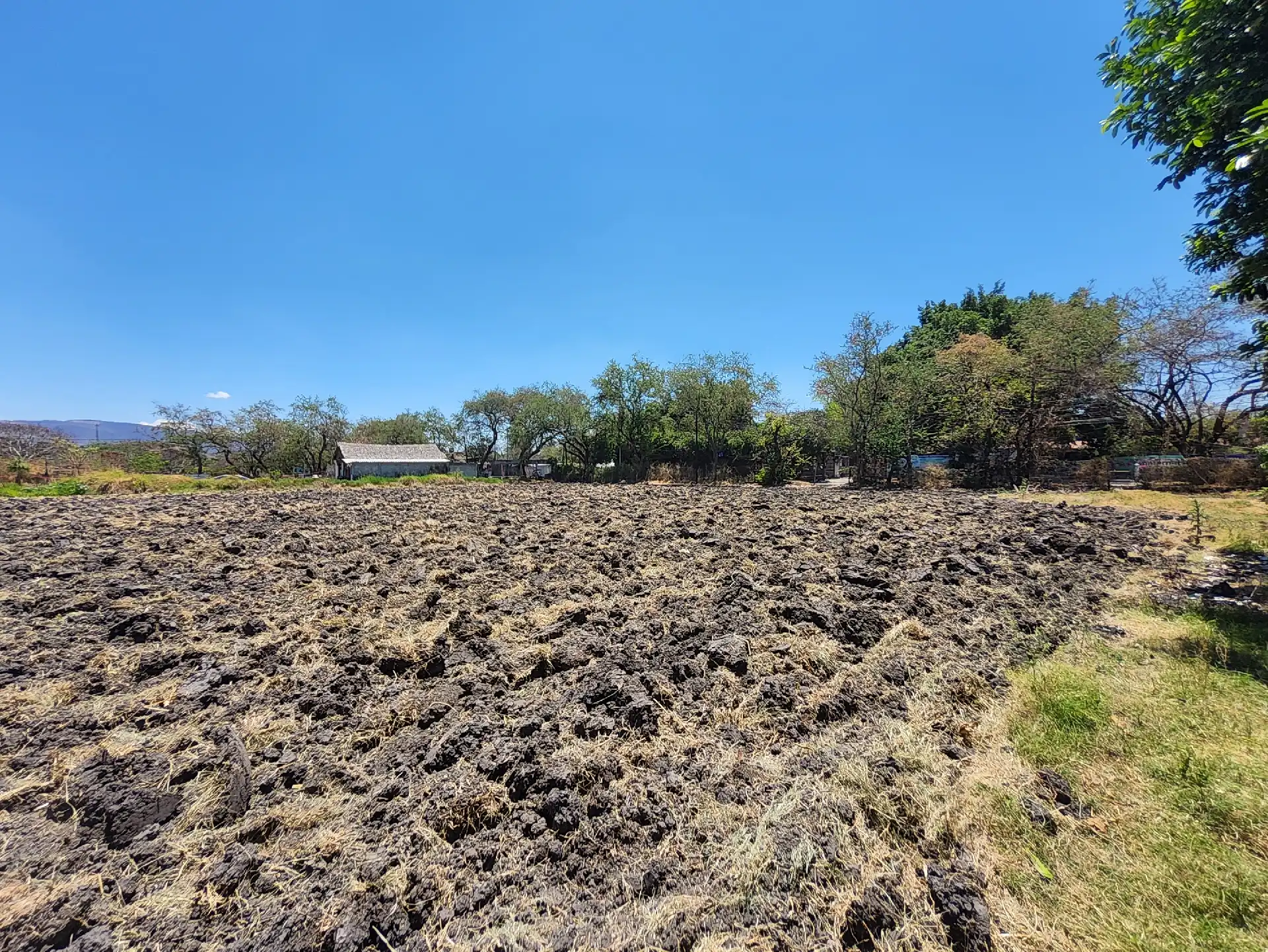 Terrenos en venta en Tezoyuca
