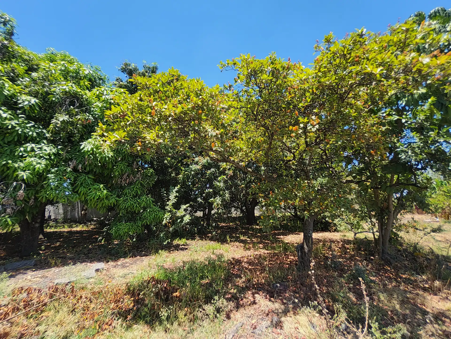 Terrenos en venta en Tezoyuca