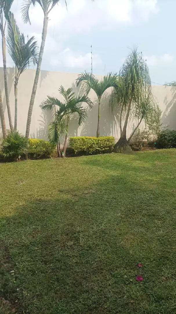 VENTA Y RENTA DE CASA SOLA