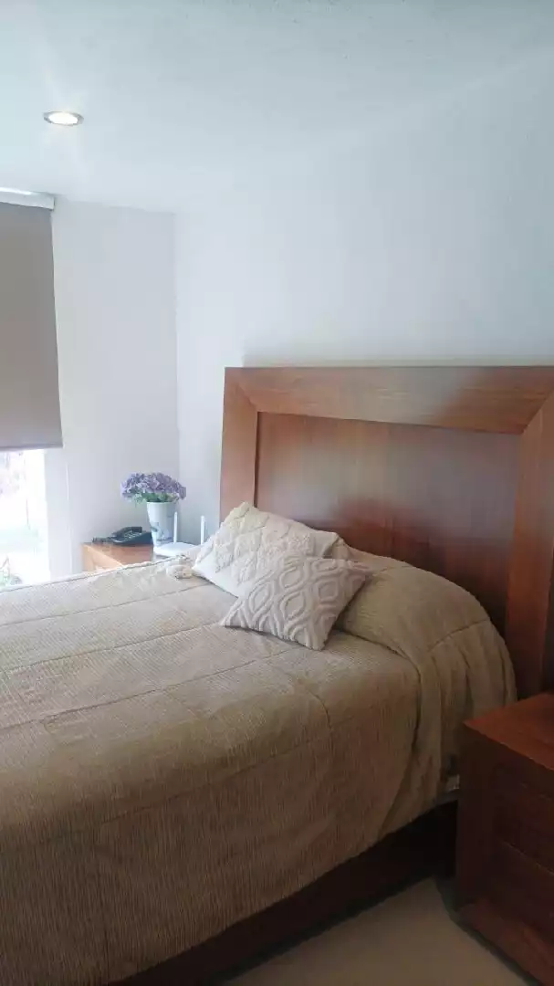 VENTA Y RENTA DE CASA SOLA