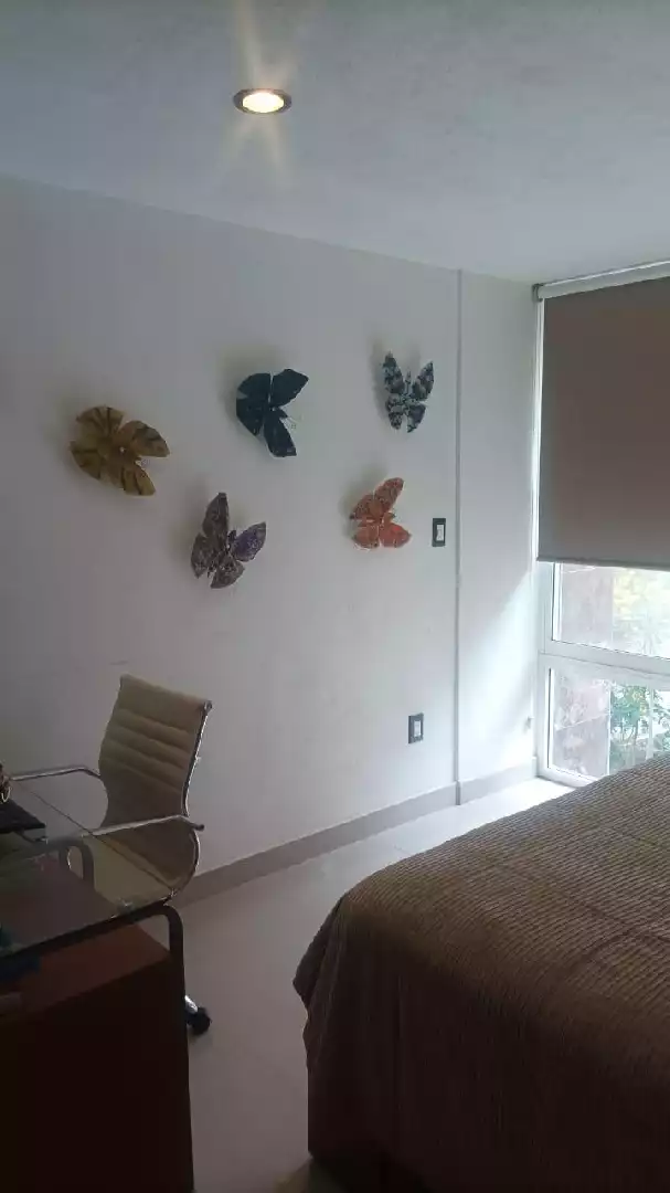 VENTA Y RENTA DE CASA SOLA