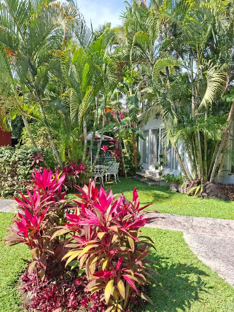 RENTA DE CASA EN CONDOMINIO