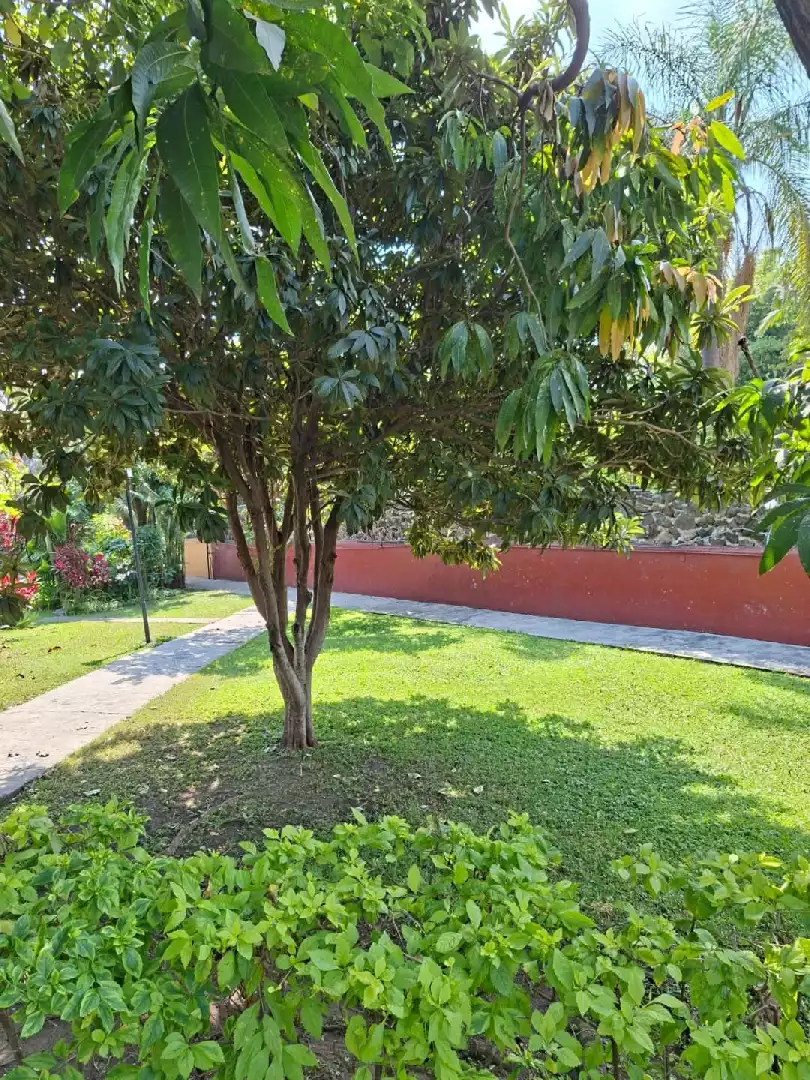 RENTA DE CASA EN CONDOMINIO