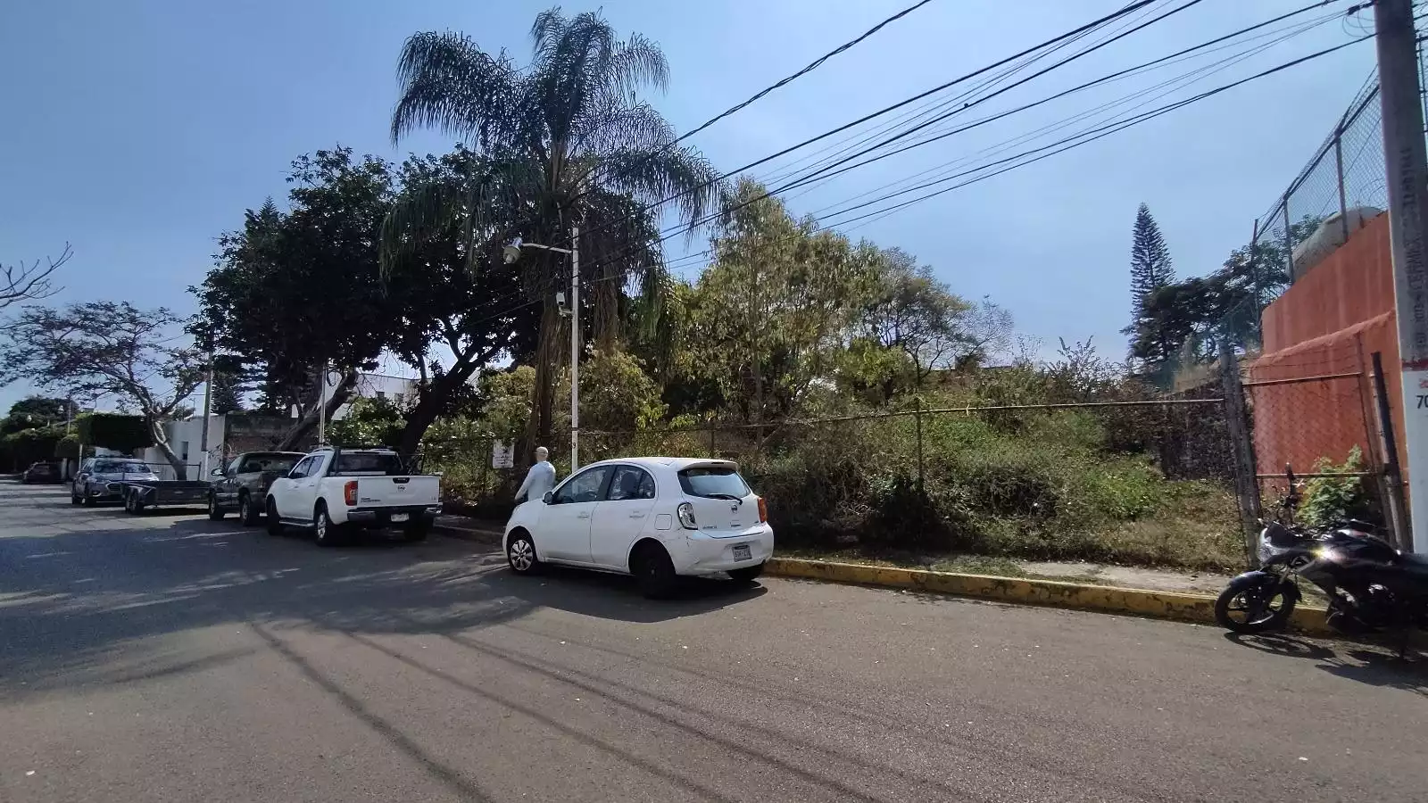 TERRENOS