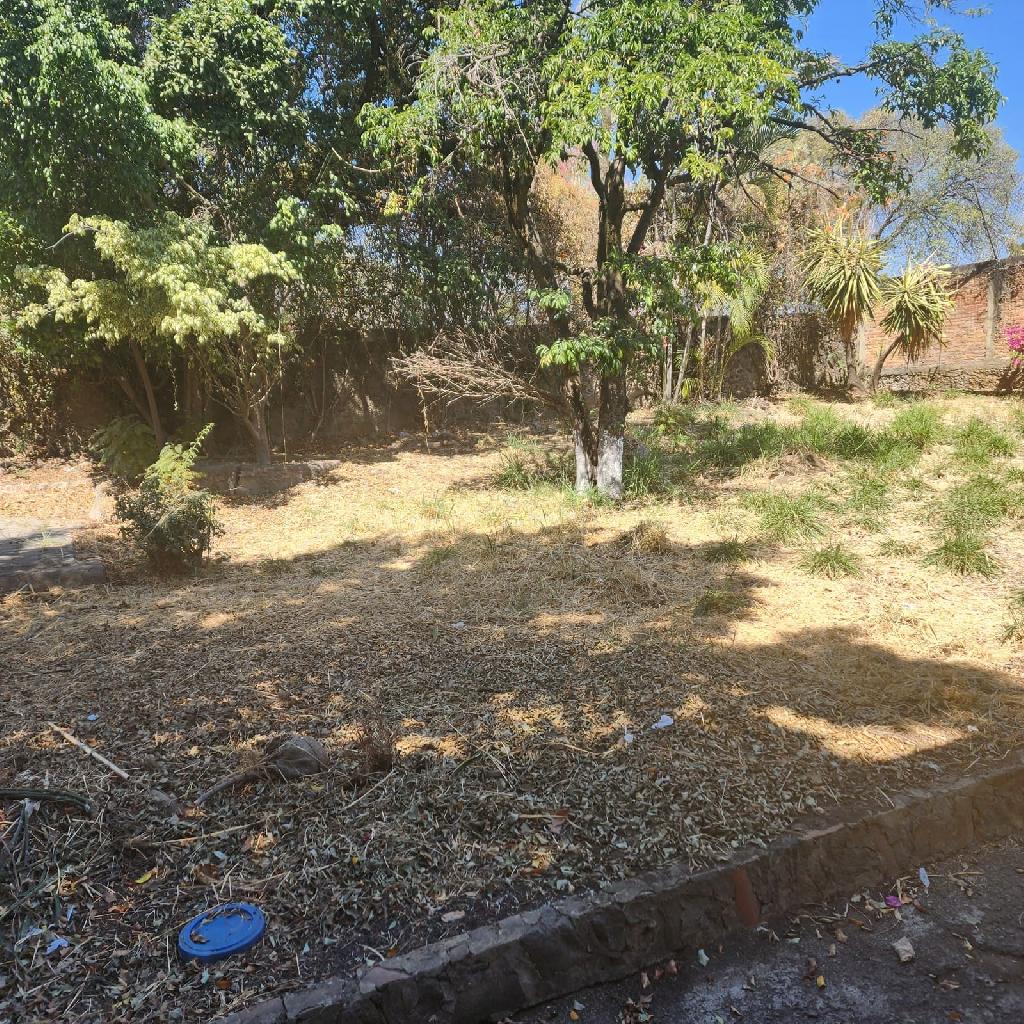 Casa en renta en Vista Hermosa Cuernavaca para remodelar
