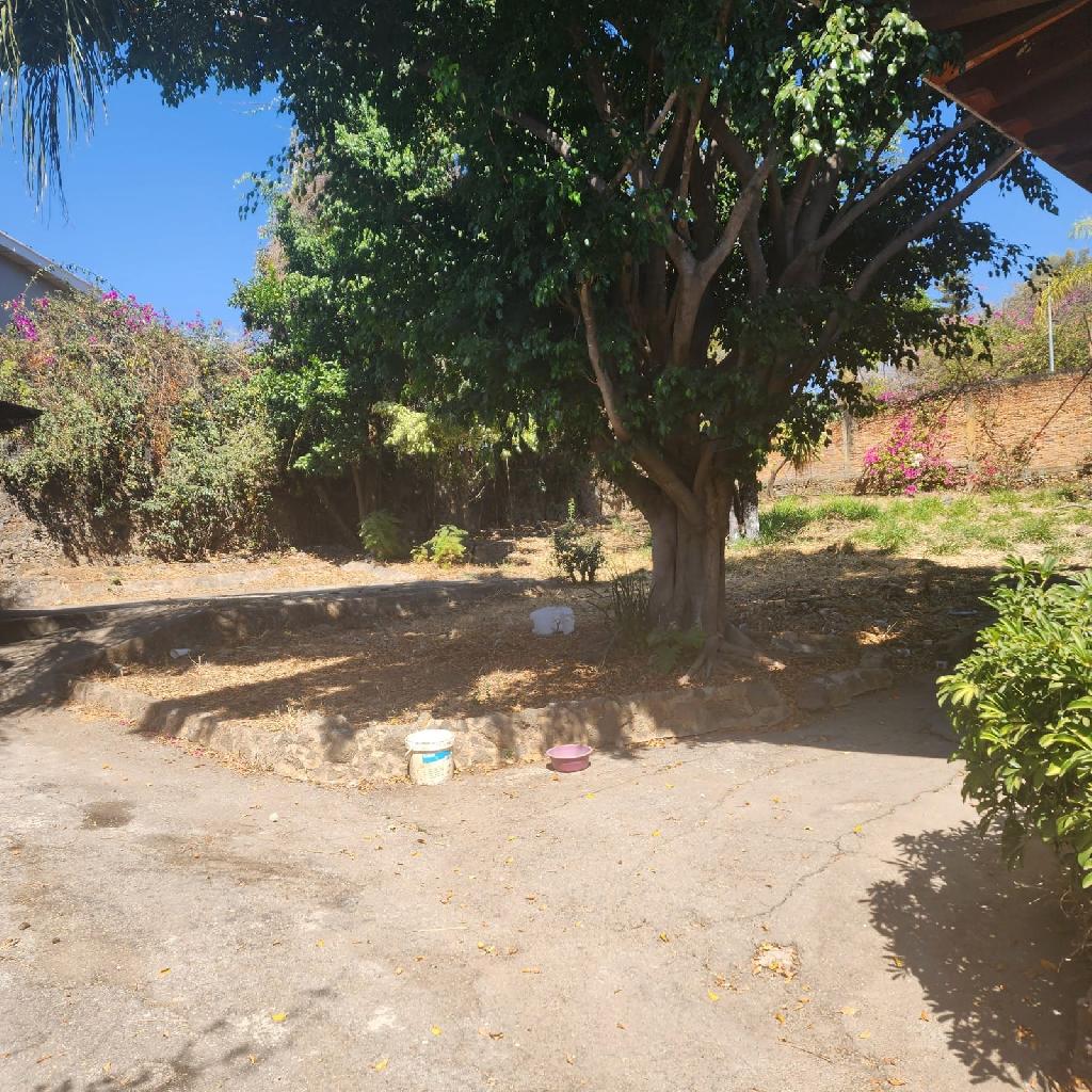 Casa en renta en Vista Hermosa Cuernavaca para remodelar