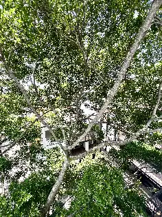 Departamento en venta en condominio en Chapultepec