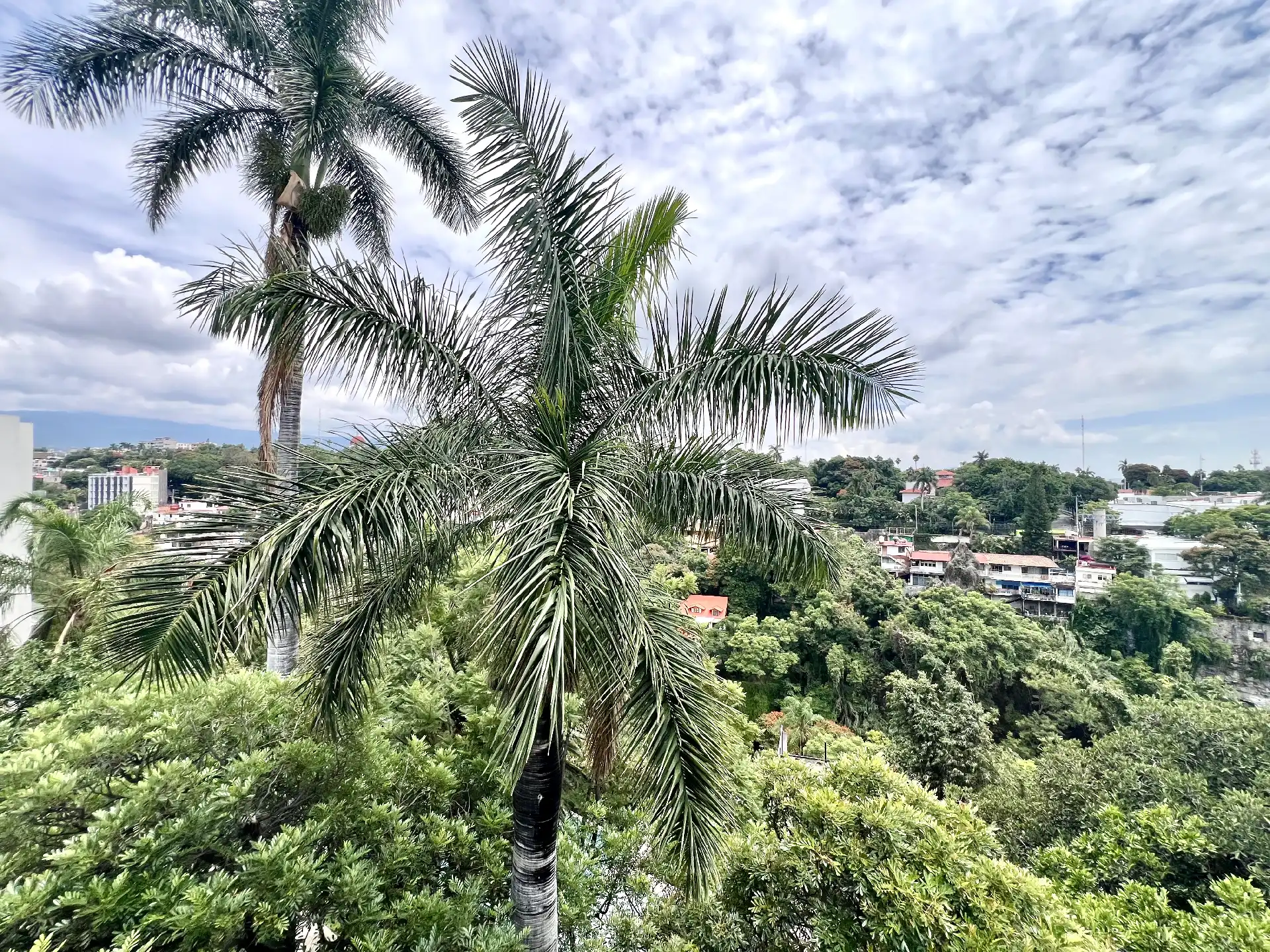 Penthouse en venta centró Cuernavaca