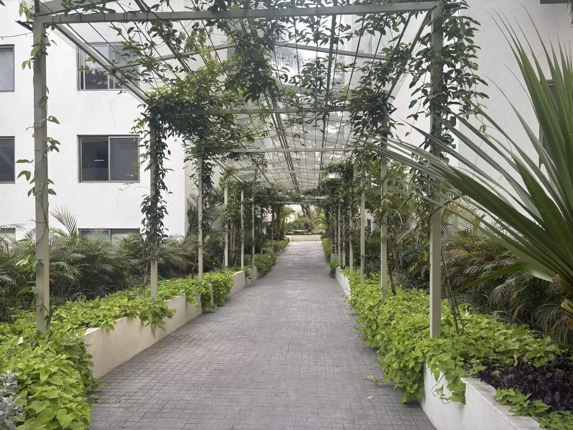 PRECIOSO LOFT EN RENTA EN RESIDENCIAL JACARANDAS