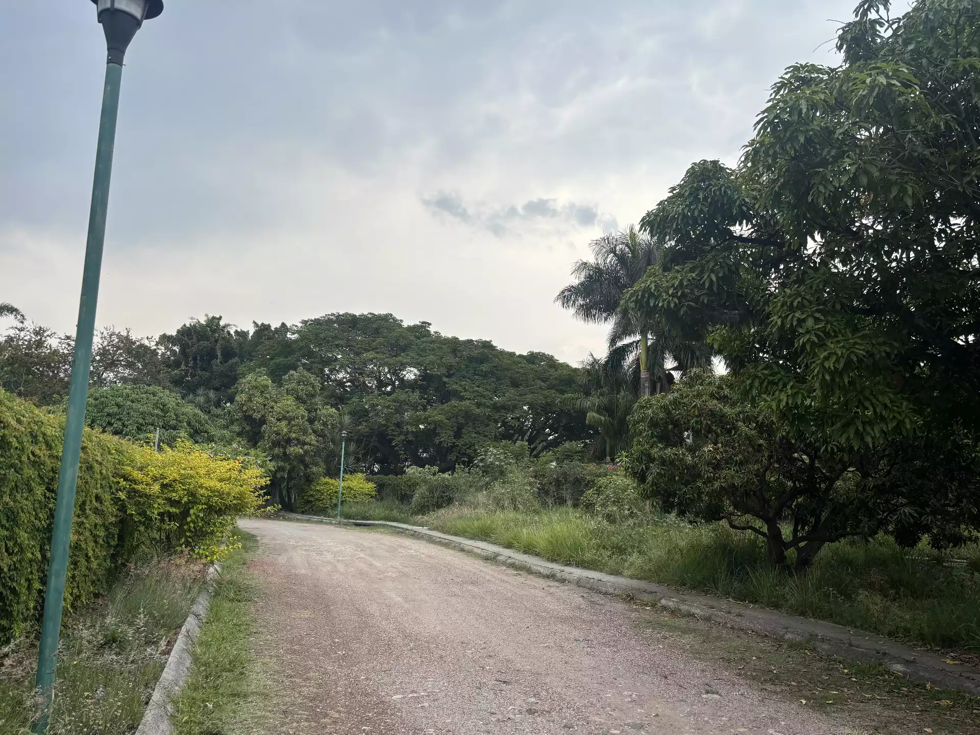 TERRENOS EN VENTA EN JIUTEPEC