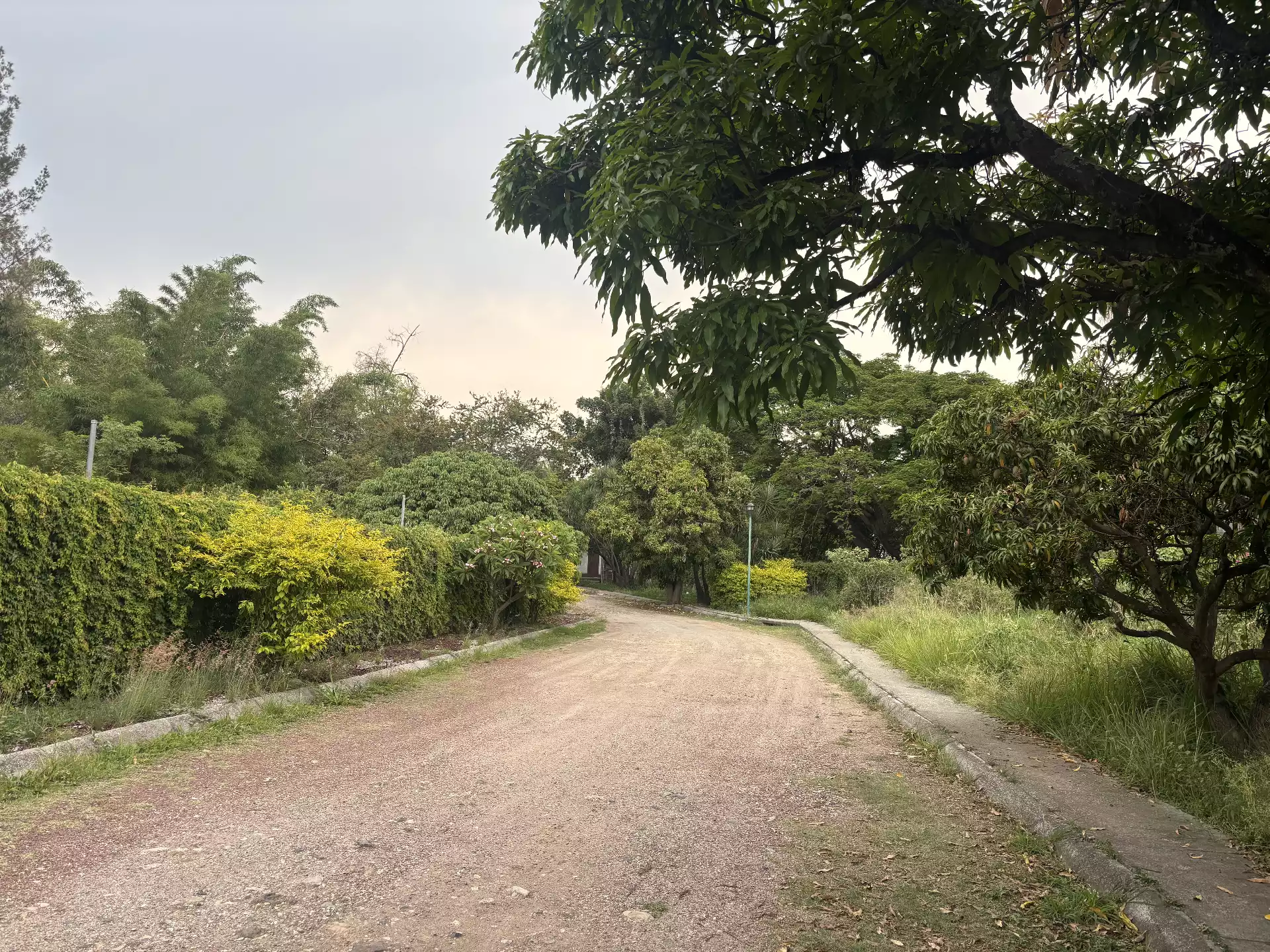 TERRENOS EN VENTA EN JIUTEPEC