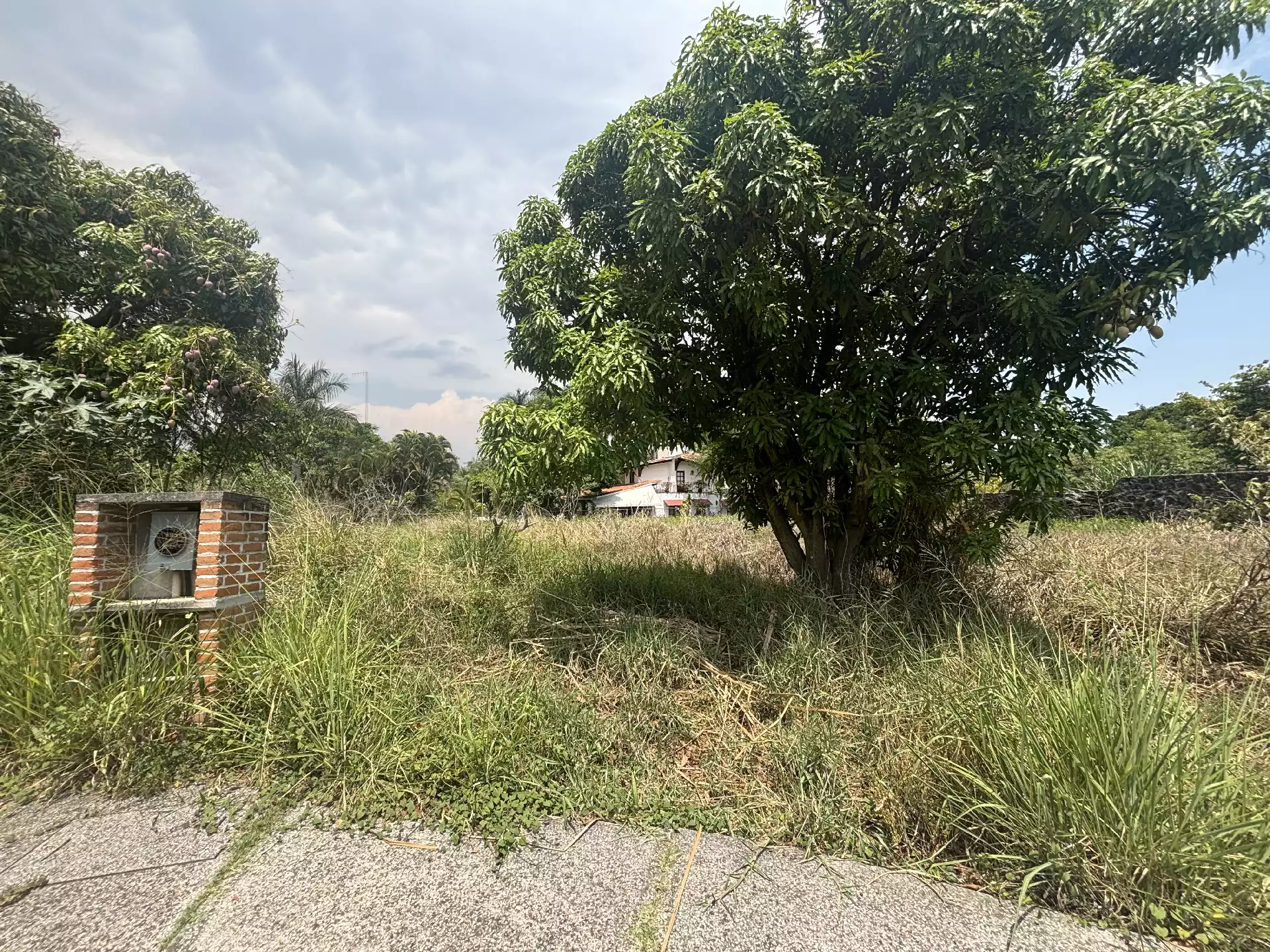 TERRENOS EN VENTA EN JIUTEPEC