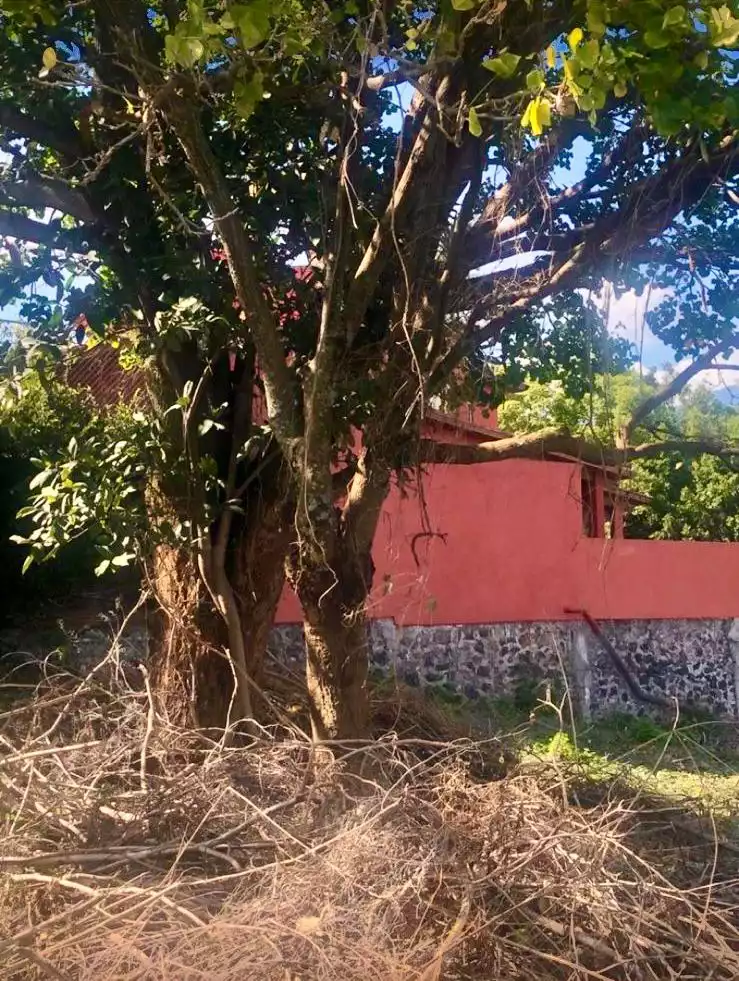 Magnífico terreno ubicado en fraccionamiento exclusivo al Norte de Cuernavaca