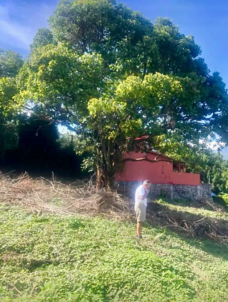 Magnífico terreno ubicado en fraccionamiento exclusivo al Norte de Cuernavaca