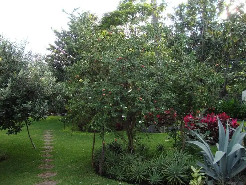 CASA EN GRANJAS MERIDA CON GRAN TERRENO