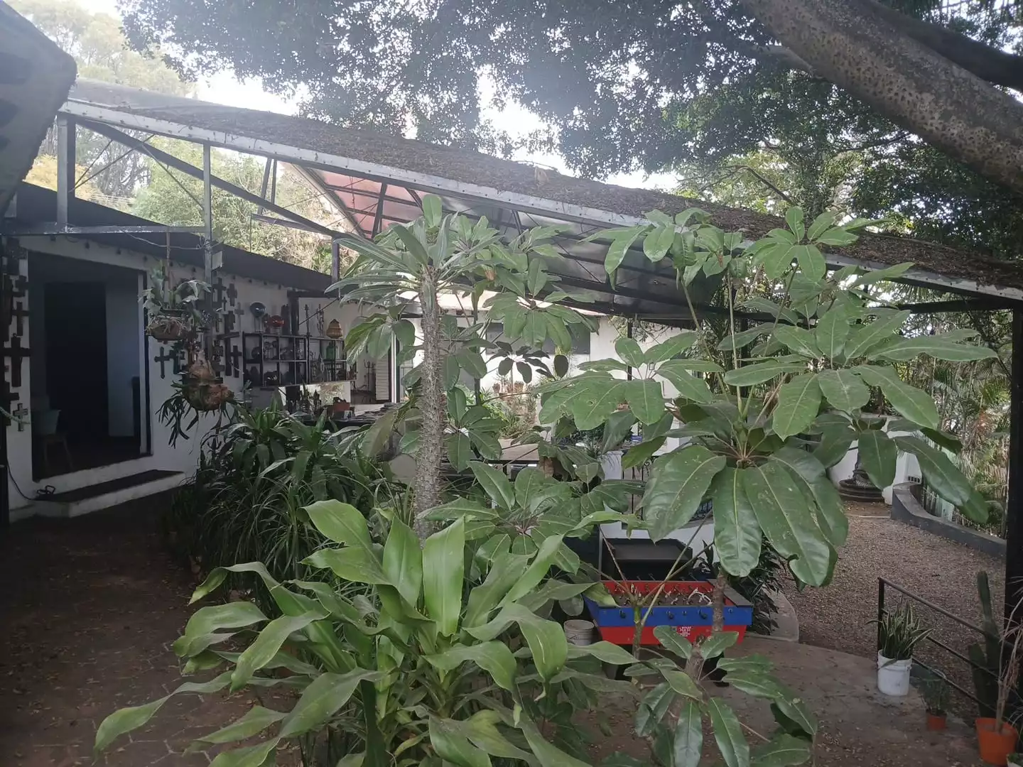 PROPIEDAD EN  VENTA EN LOMAS DE CORTEZ CUERNAVACA