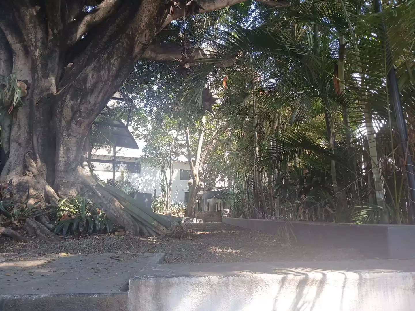 PROPIEDAD EN  VENTA EN LOMAS DE CORTEZ CUERNAVACA