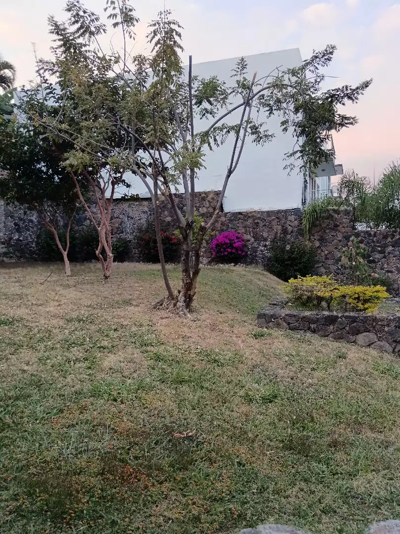 DEPA CUERNAVACA MOR.