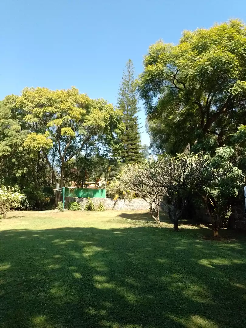 Venta de terreno en Buenavista