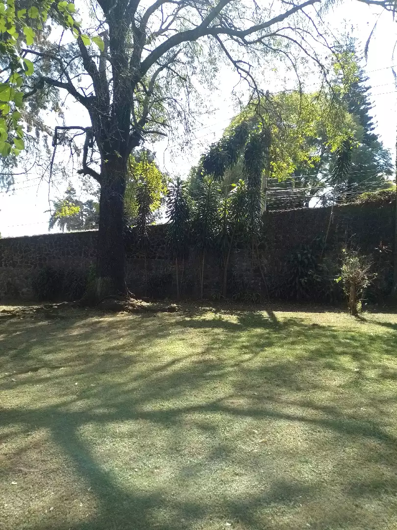Venta de terreno en Buenavista