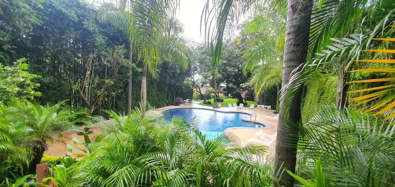 Departamento Amueblado en Renta – Condominio La Ceiba