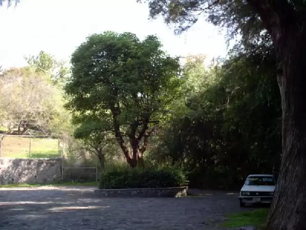 Terreno en Palmira