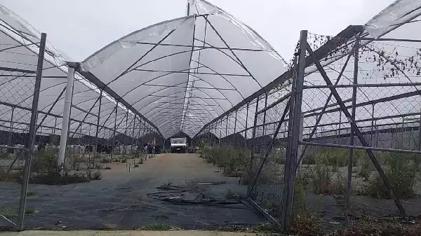 Terreno en Tétela del Monte