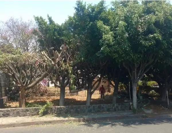 Terreno Comercial en San Cristóbal