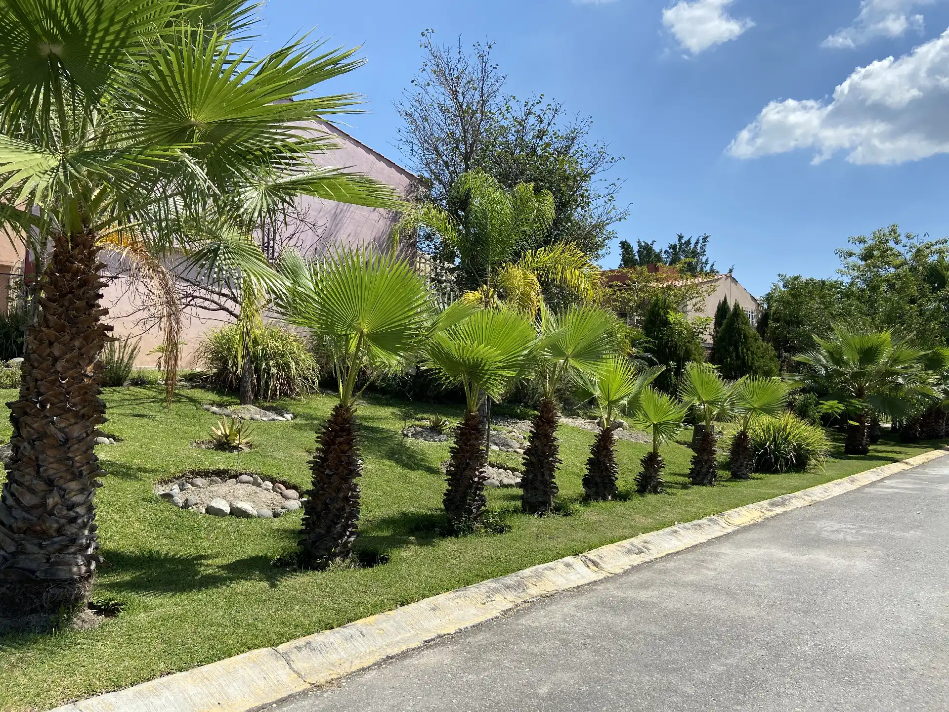 TERRENO EN VENTA EN CONDOMINIO EN XOCHITEPEC MORELOS