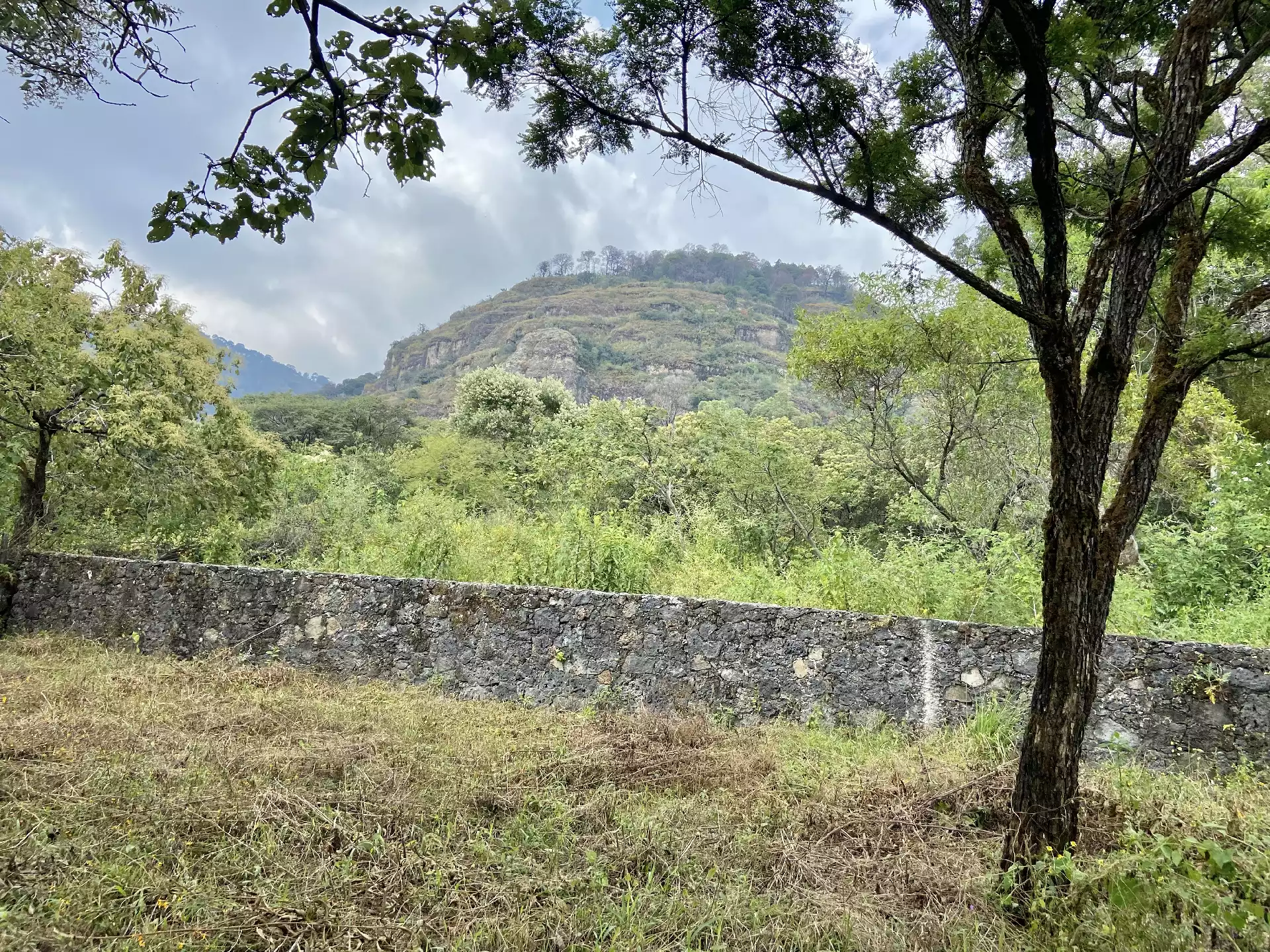 Terreno en Venta en Tepoztlán con Vista 