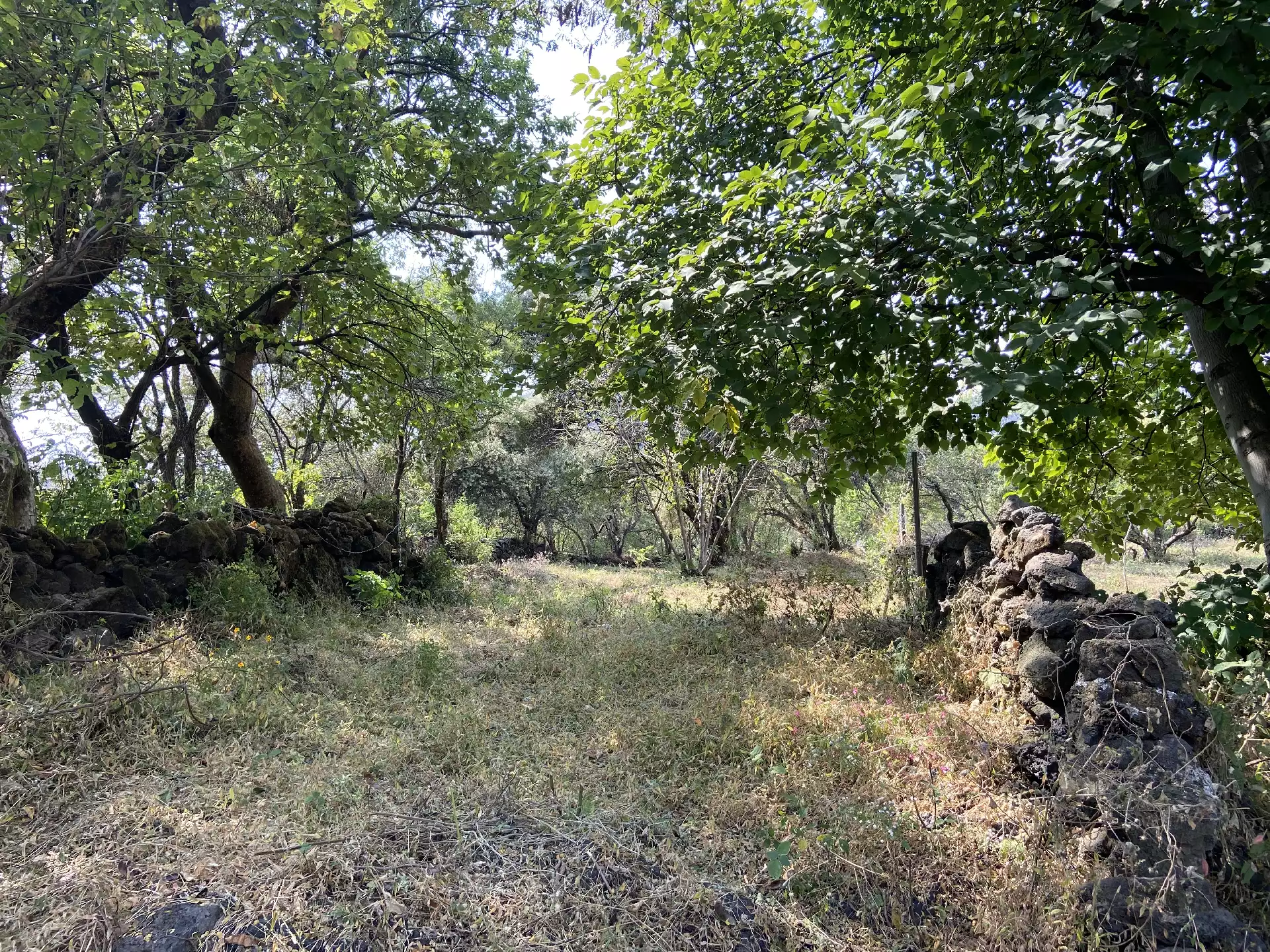 Terreno en Venta en Tepoztlán con Vista 