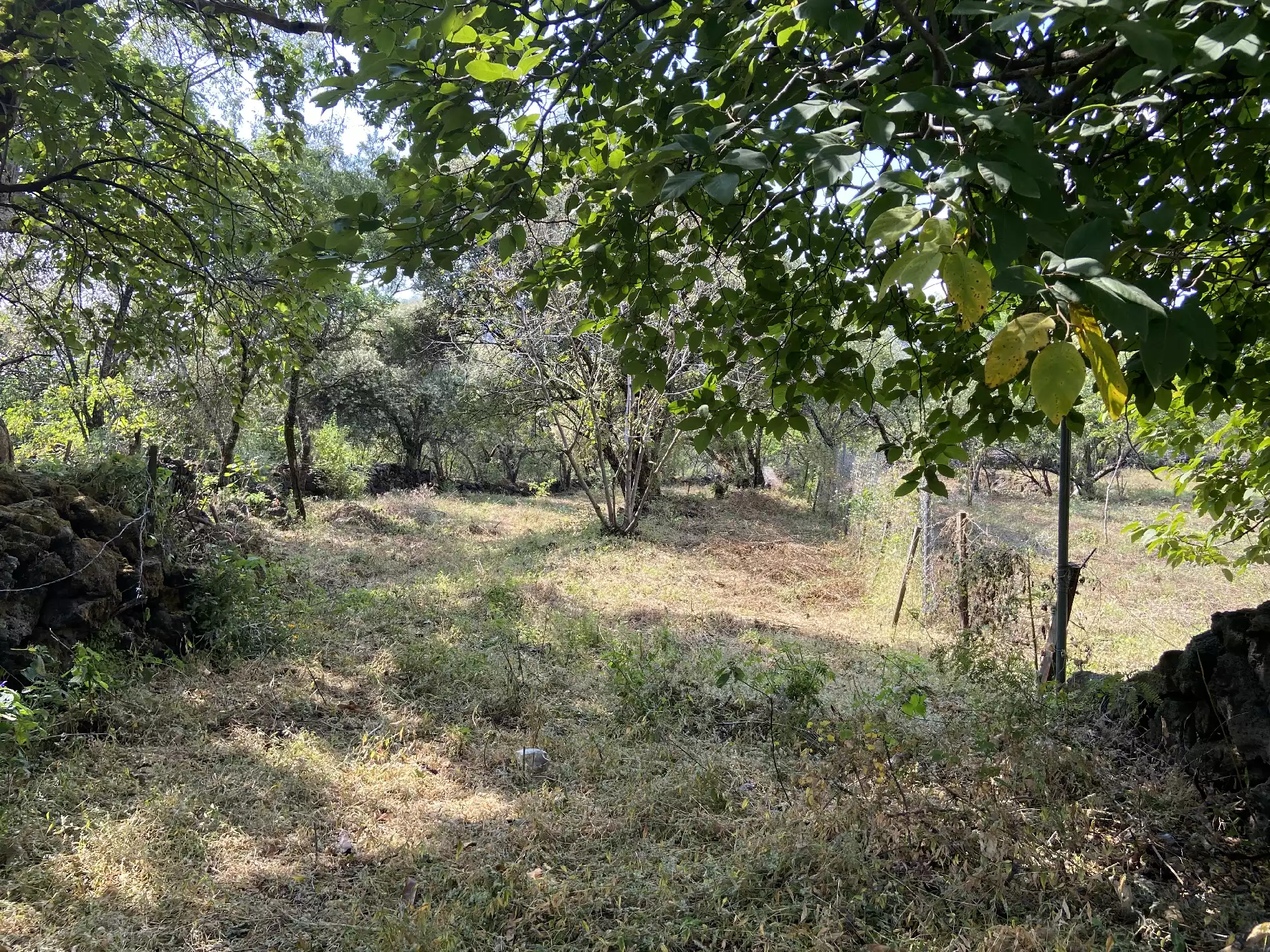 Terreno en Venta en Tepoztlán con Vista 
