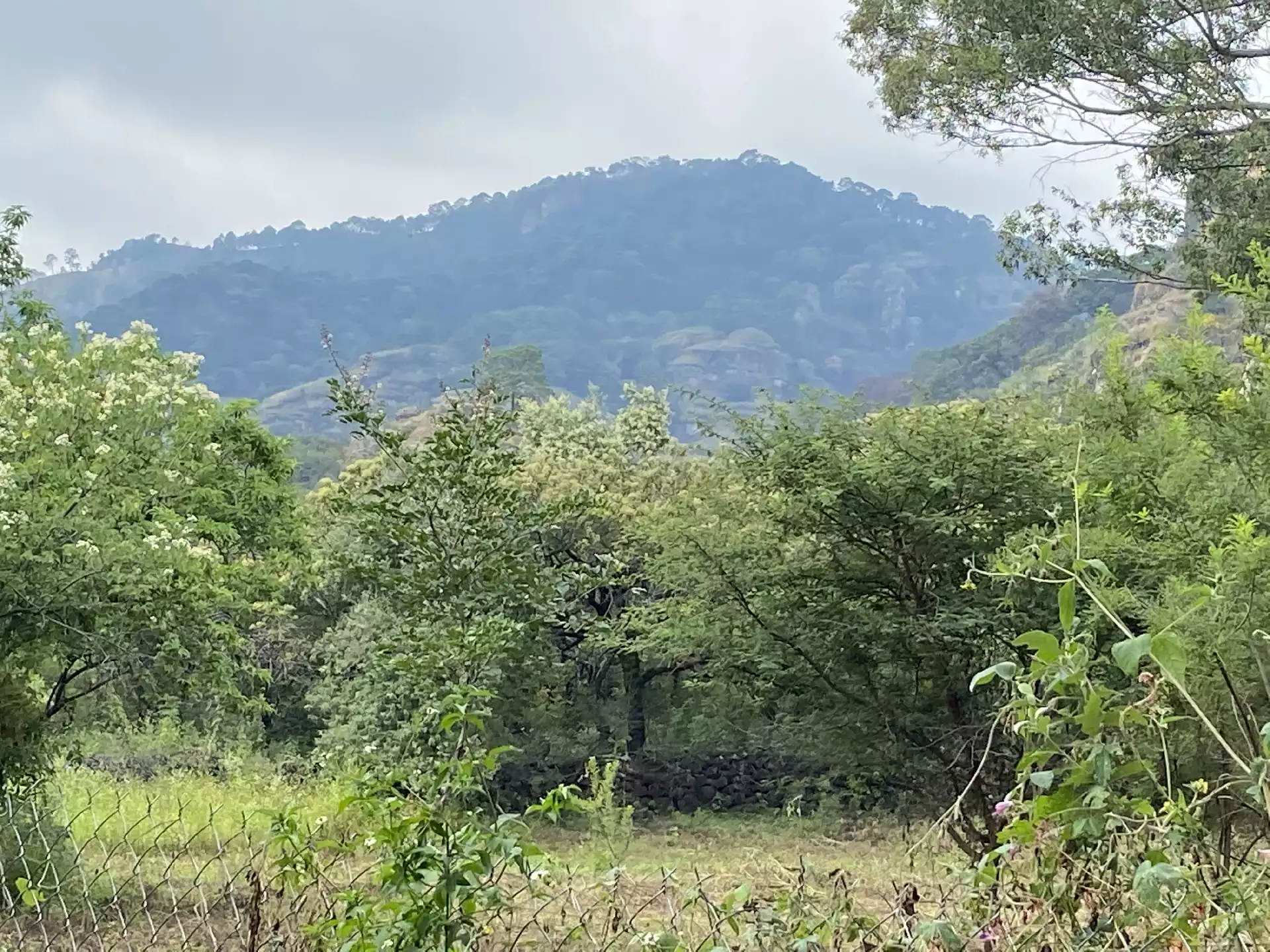 Terreno en Venta en Tepoztlán con Vista 